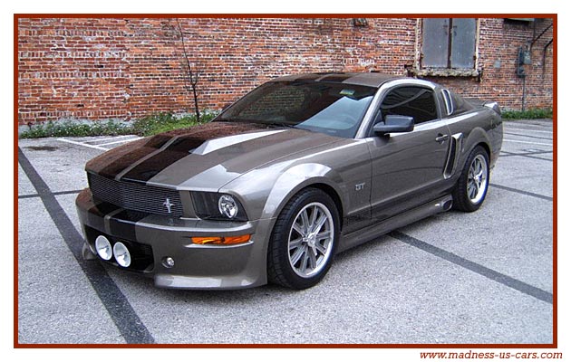 Mustang Ronaele Eleanor