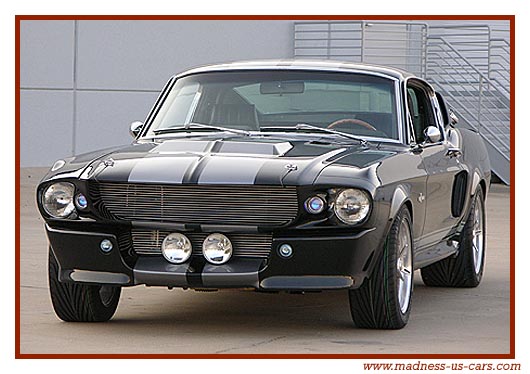 Shelby Mustang Eleanor
