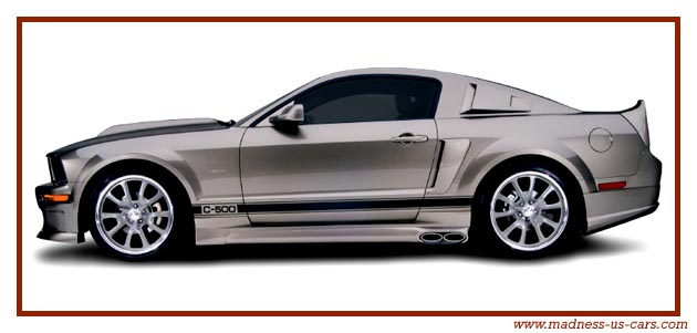 Mustang Eleanor Cervini USA