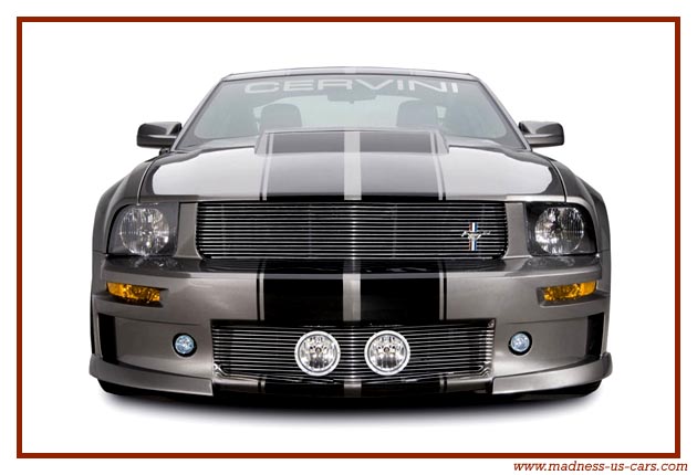 Mustang Eleanor Cervini USA