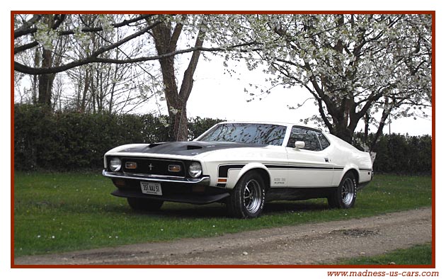 Equus Mustang, Shelby, Boss, Maharajah Road de Paris  Turin