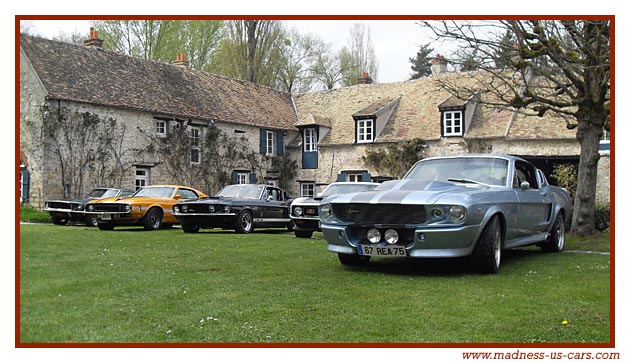 Equus Mustang, Shelby, Boss, Maharajah Road de Paris  Turin