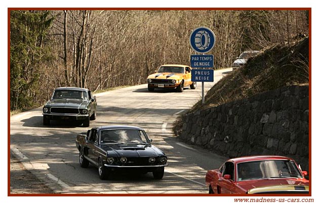 Equus Mustang, Shelby, Boss, Maharajah Road de Paris  Turin