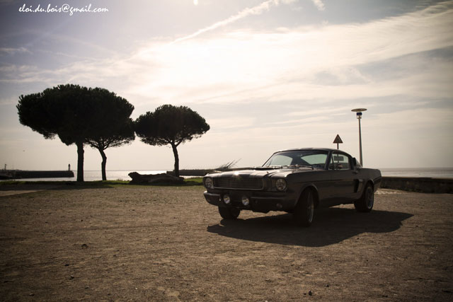 Essai Caradisiac Mustang Eleanor