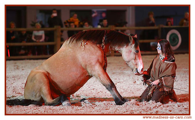 Madness US au Salon du Cheval 2017