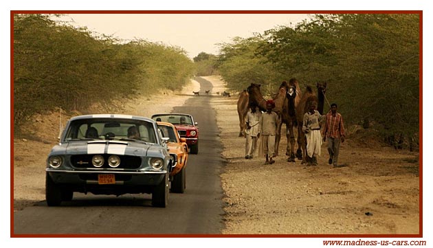 Equus Mustang, Shelby, Maharajah Road