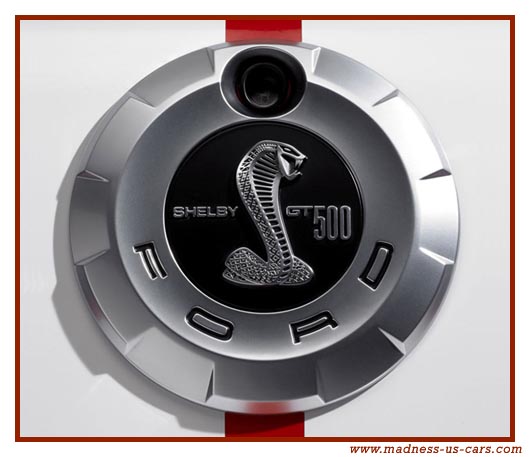 Mustang Shelby GT 500 2007