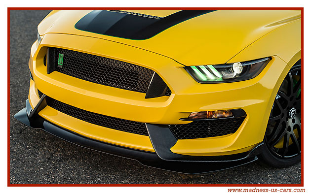 Mustang Shelby GT350 Ole Yeller 2016