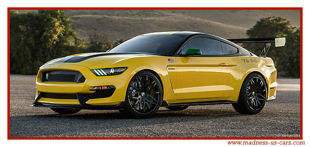 Mustang Shelby GT350 Ole Yeller 2016