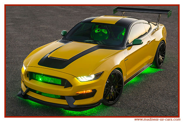 Mustang Shelby GT350 Ole Yeller 2016