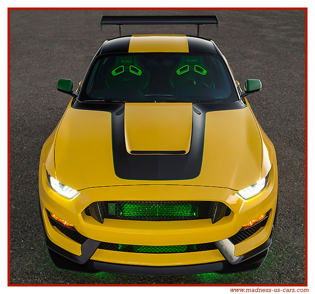 Mustang Shelby GT350 Ole Yeller 2016