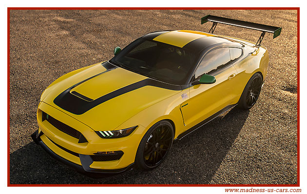 Mustang Shelby GT350 Ole Yeller 2016