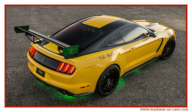 Mustang Shelby GT350 Ole Yeller 2016