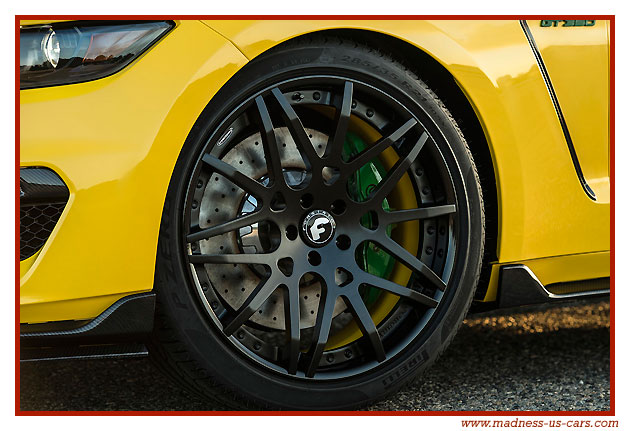 Mustang Shelby GT350 Ole Yeller 2016