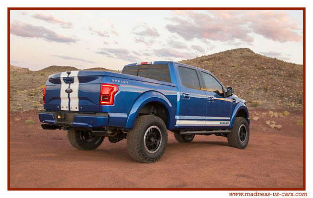 Shelby F150 2016