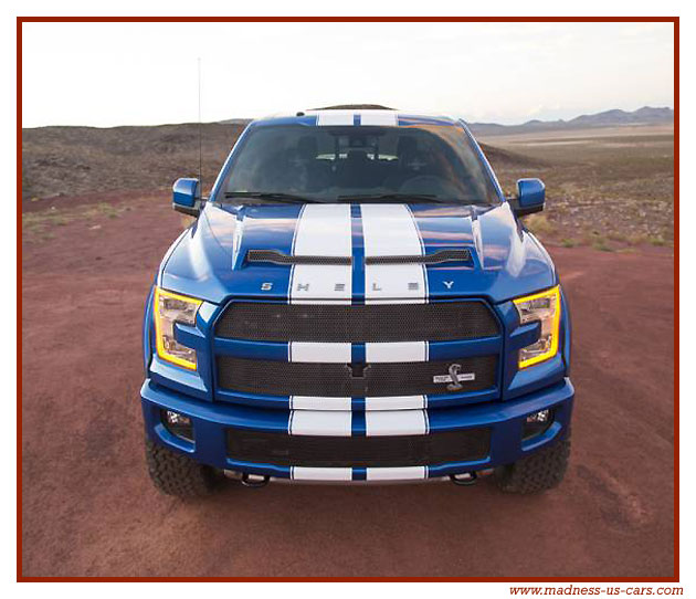 Shelby F150 2016