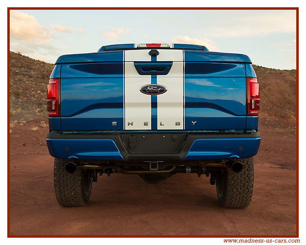 Shelby F150 2016