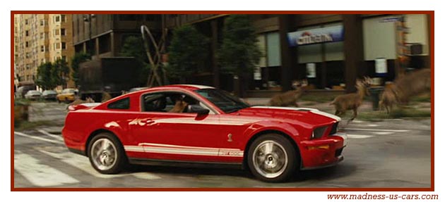 Shelby GT500 dans le film Je suis une Lgende