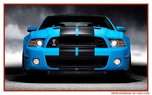 Shelby GT500 2013