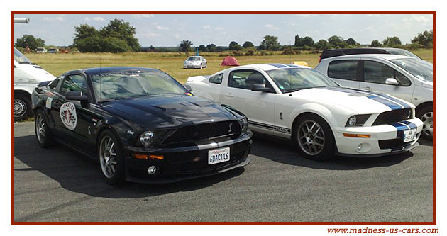 Une Shelby Madness US sur les pistes