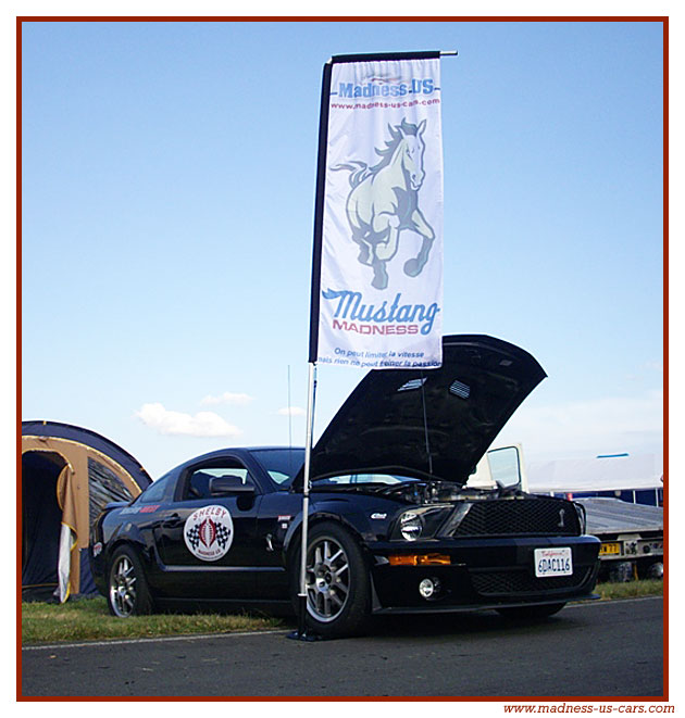 Une Shelby Madness US sur les pistes