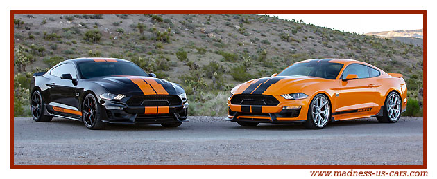 Shelby GT-S Sixt 2019