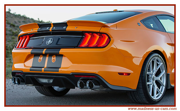Shelby GT-S Sixt 2019
