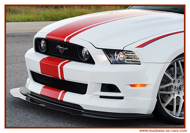 Thunderbirds Ford Mustang 2014