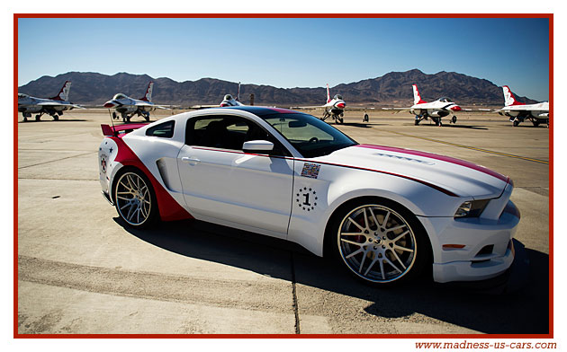 Thunderbirds Ford Mustang 2014