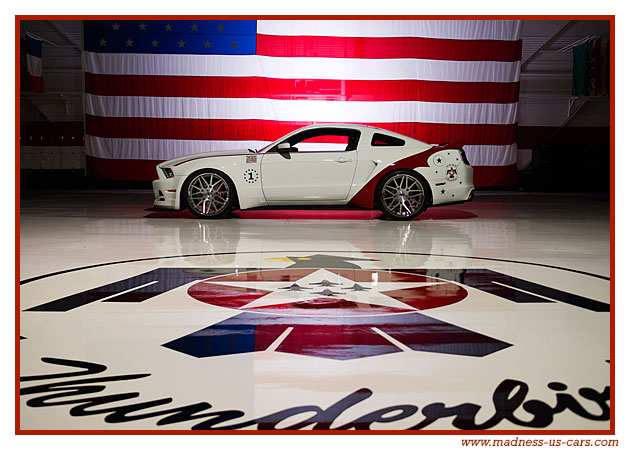 Thunderbirds Ford Mustang 2014