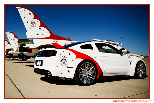 Thunderbirds Ford Mustang 2014