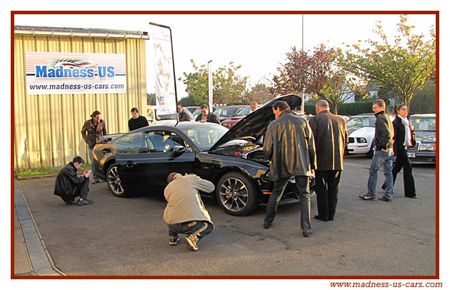 V8 Drink Madness US - Mustang GT/CS 2011