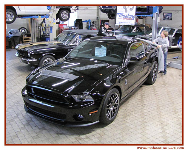 V8 Drink Madness US - Shelby GT500 2011