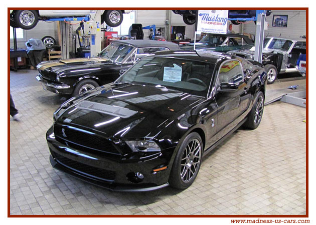 V8 Drink Madness US - Shelby GT500 2011