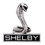 Importateur Shelby France