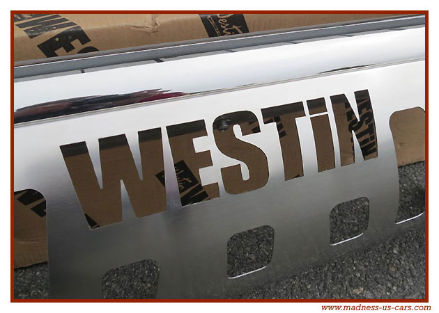 Pare buffle Westin pour Ford F150