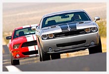 Squence photos Dodge Challenger SRT-8 et Shelby GT500