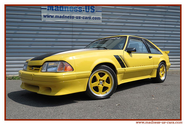 Ford Mustang GT 1992 Saleen Tribute