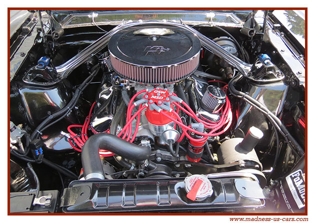 Ford Mustang Coup 1966
